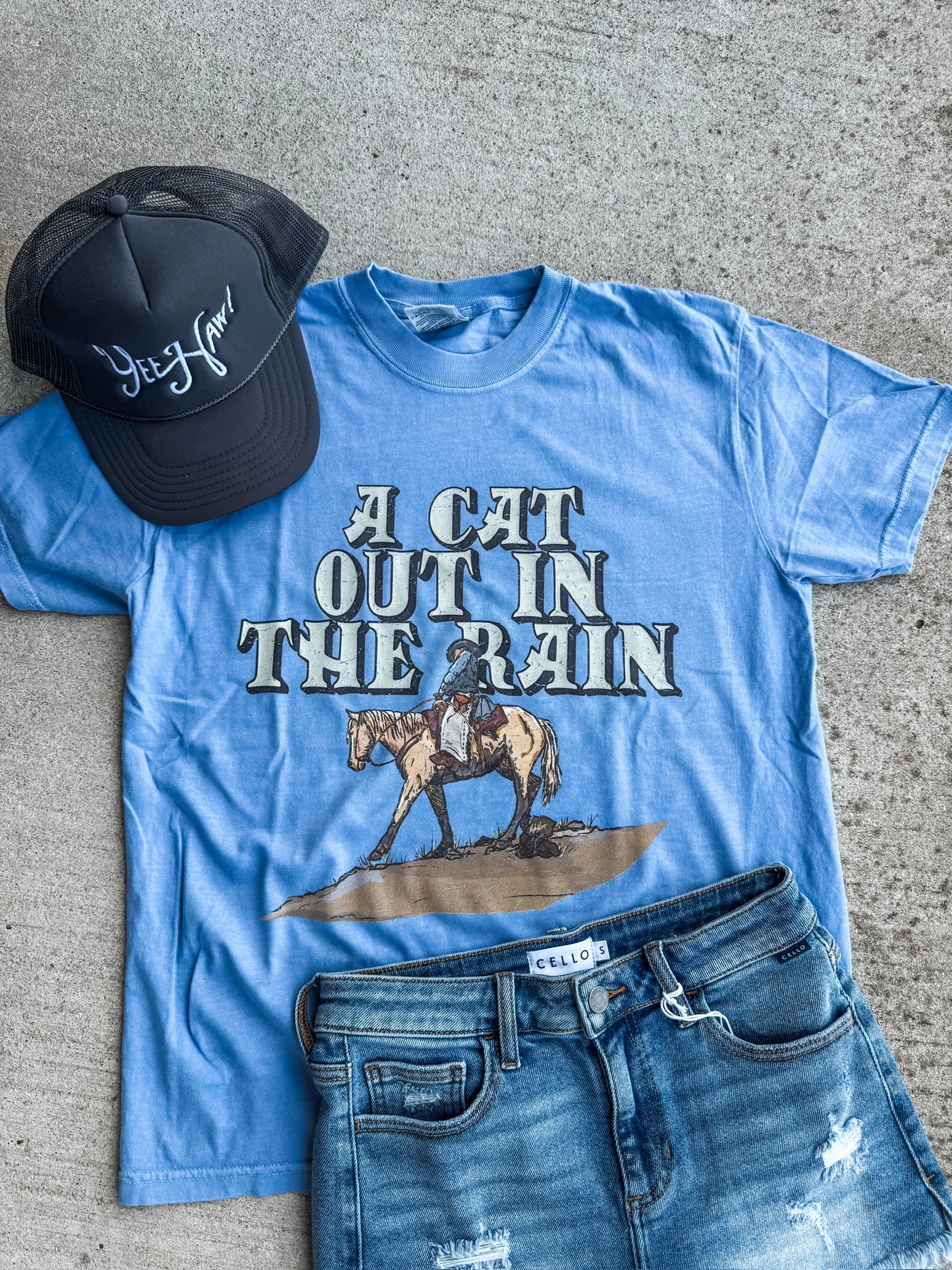 A Cat Out In The Rain Tee