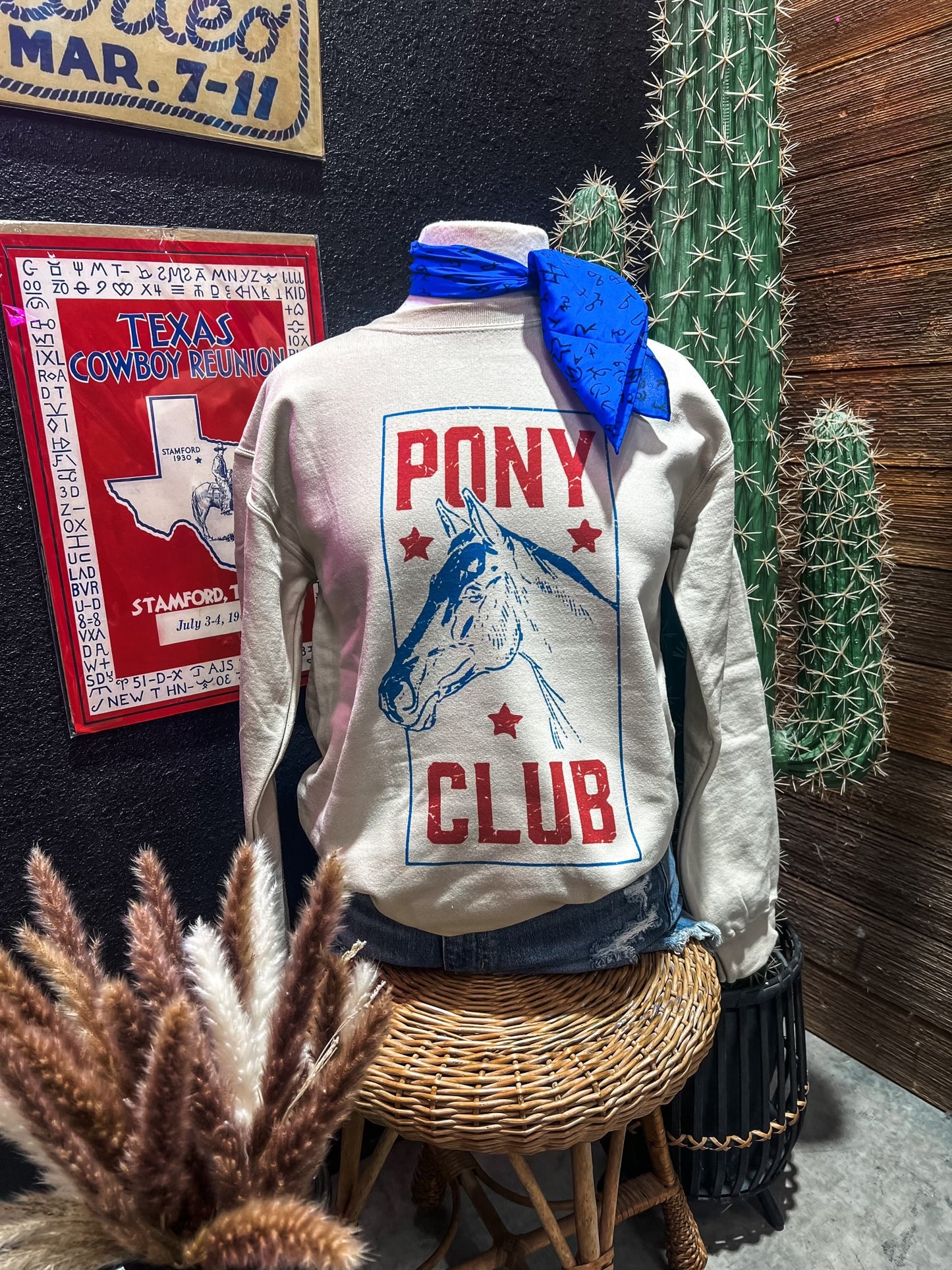 Pony Club Design on Sweatshirt
